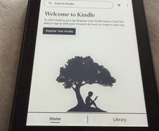 Amazon Kindle PQ94WIF Paperwhite 10th Generation 8GB eReader Tablet