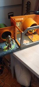 The Vintage Teenage Mutant Ninja Turtles Sewer Lair Playset