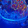 Dragon Egg Galaxy Projector Image 4