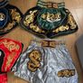MMA Thai training shorts Image 2