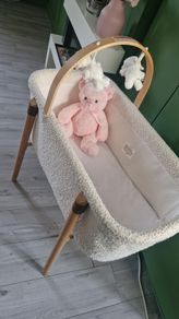 Moses Basket