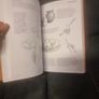 Drawing Still Life  The Fundamentals of Drawing Still Life (Soft cover)  Barrington Barber Image 8