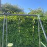 Swing Set Image 3