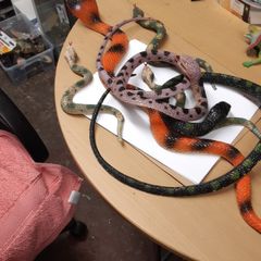 Snakes plastic collection