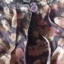 Noa Noa dress XS Image 3