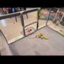 playpen Image 2