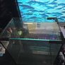 Small fish tank Image 2