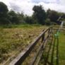 meadow Image 2