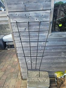Metal Trellis set of 2