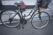 ladies bike