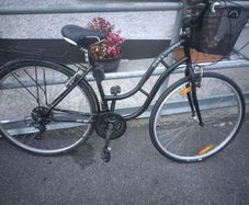 ladies bike