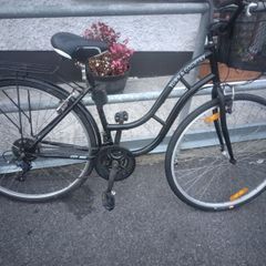 ladies bike