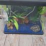 aquarium Image 3