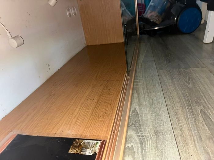 reptile enclosure
