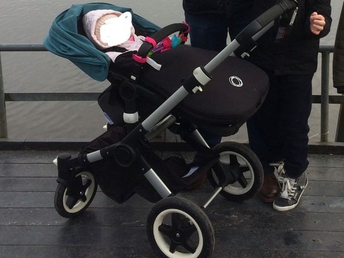 Bugaboo Buffalo Petrol Blue (Turquoise)