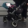 Bugaboo Buffalo Petrol Blue (Turquoise) Image 2