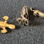 3 brass Animals,. Solid brass. Image 2
