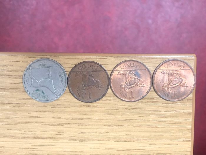 Coin