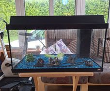 JUWEL Aquarium Fish Tank