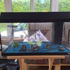 JUWEL Aquarium Fish Tank