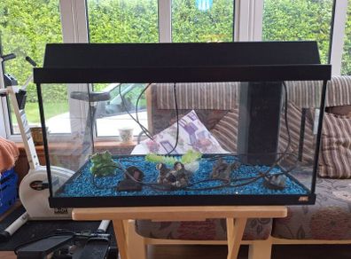 JUWEL Aquarium Fish Tank