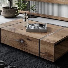 Schueler Coffee Table with Storage - like new