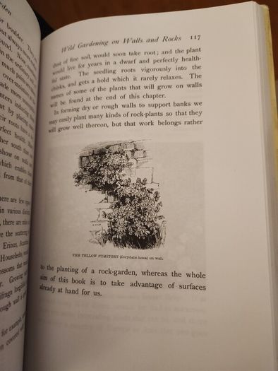 The Wild Garden. By William Robinson. Hardback With Dustjacket In Good Condition.