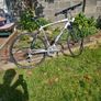 Bianchi hybrid bike Image 2