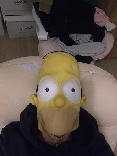 Homer Simpson Halloween Mask