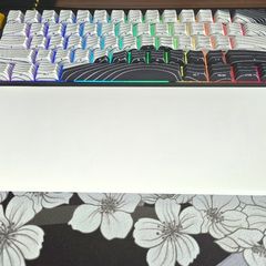 wooting 60he+ gaming keyboard  (wrist rest not included)