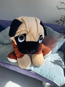 Teddy
