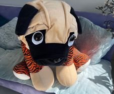 Teddy
