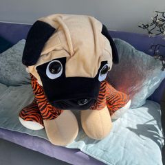 Teddy