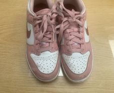 Nike Girls Dunk Runners