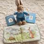 Peter Rabbit Bundle Image 2