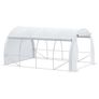 Walk-In Polytunnel Greenhouse Image 2