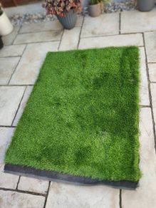 Fake grass
