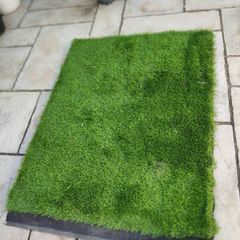 Fake grass