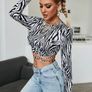 Zebra long  Striped Top Image 5