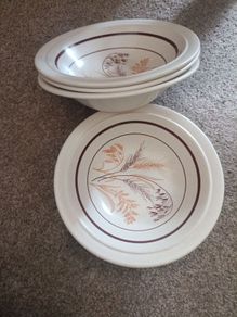 bowl