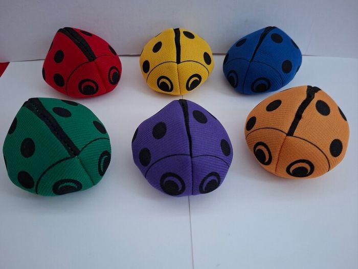 Ladybird Bean Bags (6)