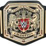 WWE & NXT Official Adult Size United Kingdom Championship Replica Title Belts Image 4