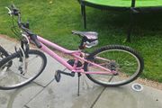 24" girls bicycle