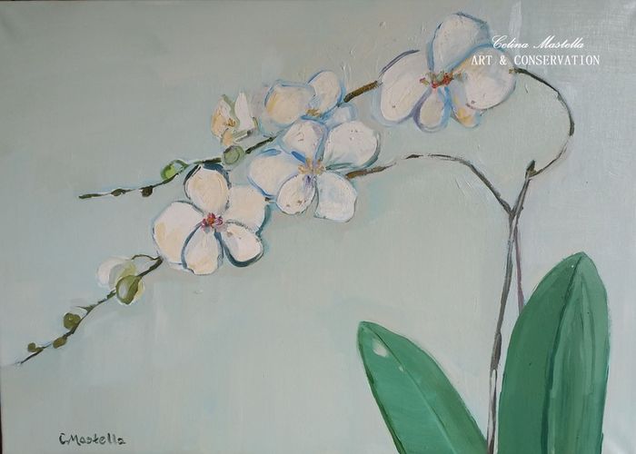 oil painting 50 x 70 cm