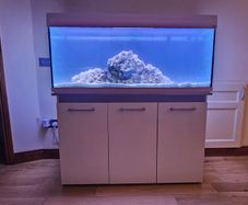 250L Fish tank