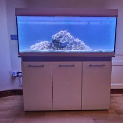 250L Fish tank