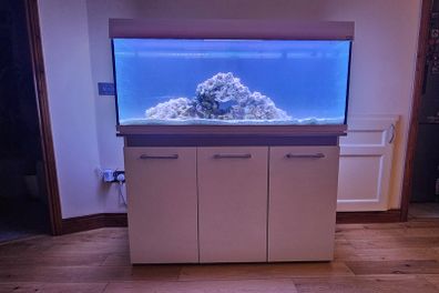 250L Fish tank