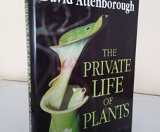 The Private Life of Plants: A Natural History of Plant Behaviour by David Attenborough (PT119)