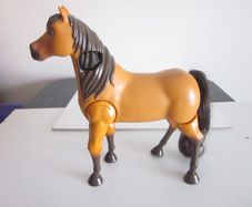 Ride Together Lucky & Spirit Walking Horse