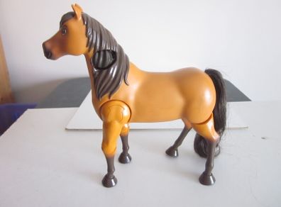 Ride Together Lucky & Spirit Walking Horse